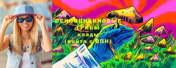 соль ск Алексеевка
