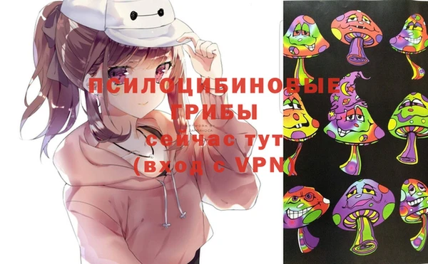 соль ск Алексеевка