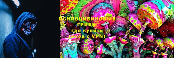 соль ск Алексеевка