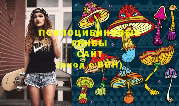 ГАЛЛЮЦИНОГЕННЫЕ ГРИБЫ Алексин