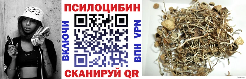 магазин продажи Суджа Псилоцибиновые грибы прущие грибы
