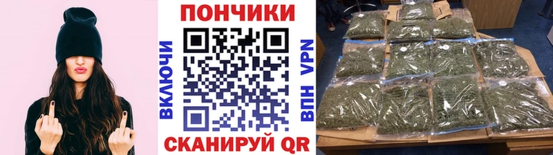 цена наркотик  Суджа  Каннабис SATIVA & INDICA 